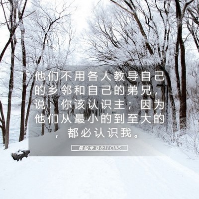 Picture 05 - 希 伯 来 书 8:11 CUVS - 他 们 不 用 各 人 教 导 自 己 的 乡 - Bible Verse Picture