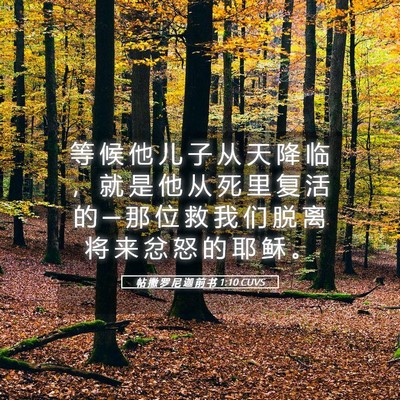 Picture 05 - 帖 撒 罗 尼 迦 前 书 1:10 CUVS - 等 候 他 儿 子 从 天 降 临 ， 就 是 - Bible Verse Picture