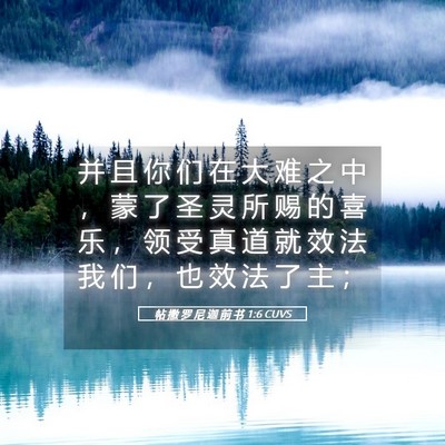 Picture 05 - 帖 撒 罗 尼 迦 前 书 1:6 CUVS - 并 且 你 们 在 大 难 之 中 ， 蒙 了 - Bible Verse Picture