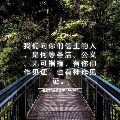 Picture 05 - 帖 撒 罗 尼 迦 前 书 2:10 CUVS - 我 们 向 你 们 信 主 的 人 ， 是 何 - Bible Verse Picture