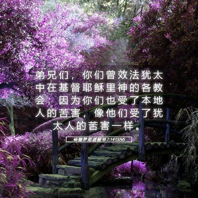 Picture 05 - 帖 撒 罗 尼 迦 前 书 2:14 CUVS - 弟 兄 们 ， 你 们 曾 效 法 犹 太 中 - Bible Verse Picture