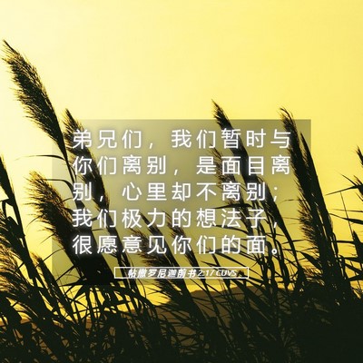 Picture 05 - 帖 撒 罗 尼 迦 前 书 2:17 CUVS - 弟 兄 们 ， 我 们 暂 时 与 你 们 离 - Bible Verse Picture