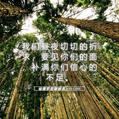 Picture 05 - 帖 撒 罗 尼 迦 前 书 3:10 CUVS - 我 们 昼 夜 切 切 的 祈 求 ， 要 见 - Bible Verse Picture