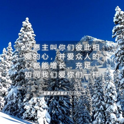 Picture 05 - 帖 撒 罗 尼 迦 前 书 3:12 CUVS - 又 愿 主 叫 你 们 彼 此 相 爱 的 心 - Bible Verse Picture