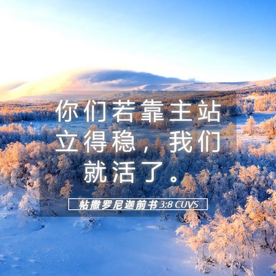 Picture 05 - 帖 撒 罗 尼 迦 前 书 3:8 CUVS - 你 们 若 靠 主 站 立 得 稳 ， 我 们 - Bible Verse Picture