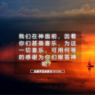 Picture 05 - 帖 撒 罗 尼 迦 前 书 3:9 CUVS - 我 们 在 神 面 前 ， 因 着 你 们 甚 - Bible Verse Picture