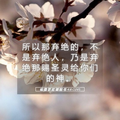 Picture 05 - 帖 撒 罗 尼 迦 前 书 4:8 CUVS - 所 以 那 弃 绝 的 ， 不 是 弃 绝 人 - Bible Verse Picture