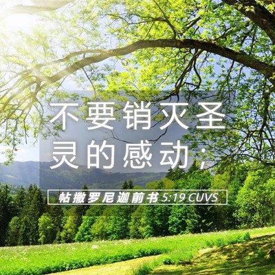 Picture 05 - 帖 撒 罗 尼 迦 前 书 5:19 CUVS - 不 要 销 灭 圣 灵 的 感 动 - Bible Verse Picture