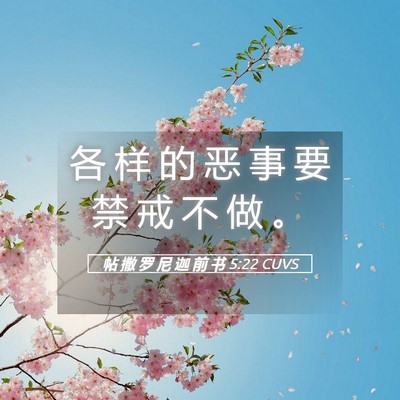 Picture 05 - 帖 撒 罗 尼 迦 前 书 5:22 CUVS - 各 样 的 恶 事 要 禁 戒 不 做 - Bible Verse Picture