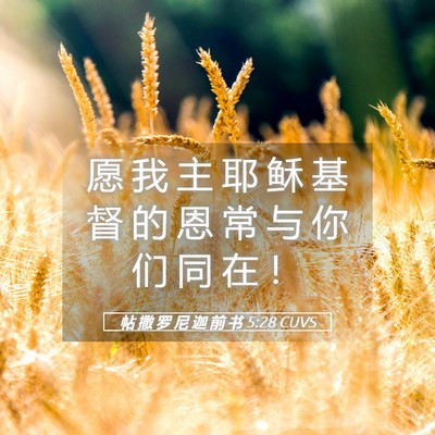 Picture 05 - 帖 撒 罗 尼 迦 前 书 5:28 CUVS - 愿 我 主 耶 稣 基 督 的 恩 常 与 你 - Bible Verse Picture