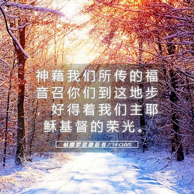 Picture 05 - 帖 撒 罗 尼 迦 后 书 2:14 CUVS - 神 藉 我 们 所 传 的 福 音 召 你 们 - Bible Verse Picture