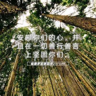 Picture 05 - 帖 撒 罗 尼 迦 后 书 2:17 CUVS - 安 慰 你 们 的 心 ， 并 且 在 一 切 - Bible Verse Picture