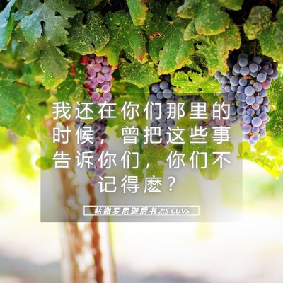Picture 05 - 帖 撒 罗 尼 迦 后 书 2:5 CUVS - 我 还 在 你 们 那 里 的 时 候 ， 曾 - Bible Verse Picture