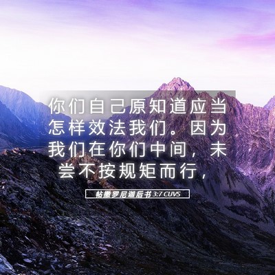 Picture 05 - 帖 撒 罗 尼 迦 后 书 3:7 CUVS - 你 们 自 己 原 知 道 应 当 怎 样 效 - Bible Verse Picture