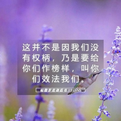 Picture 05 - 帖 撒 罗 尼 迦 后 书 3:9 CUVS - 这 并 不 是 因 我 们 没 有 权 柄 ， - Bible Verse Picture