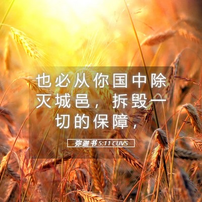 Picture 05 - 弥 迦 书 5:11 CUVS - 也 必 从 你 国 中 除 灭 城 邑 ， 拆 - Bible Verse Picture