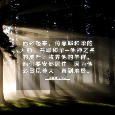 Picture 05 - 弥 迦 书 5:4 CUVS - 他 必 起 来 ， 倚 靠 耶 和 华 的 大 - Bible Verse Picture