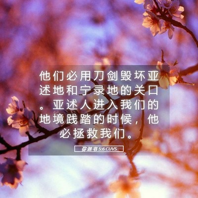 Picture 05 - 弥 迦 书 5:6 CUVS - 他 们 必 用 刀 剑 毁 坏 亚 述 地 和 - Bible Verse Picture