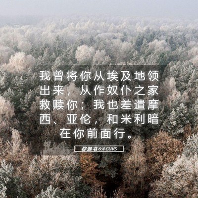 Picture 05 - 弥 迦 书 6:4 CUVS - 我 曾 将 你 从 埃 及 地 领 出 来 ， - Bible Verse Picture