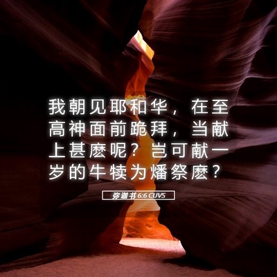 Picture 05 - 弥 迦 书 6:6 CUVS - 我 朝 见 耶 和 华 ， 在 至 高 神 面 - Bible Verse Picture