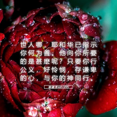 Picture 05 - 弥 迦 书 6:8 CUVS - 世 人 哪 ， 耶 和 华 已 指 示 你 何 - Bible Verse Picture