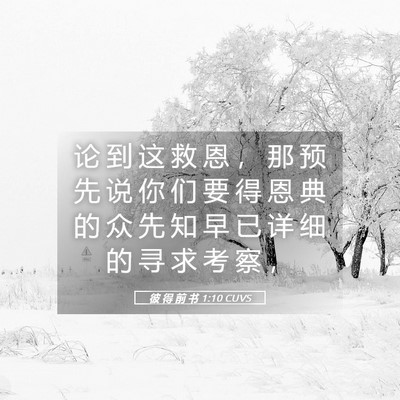 Picture 05 - 彼 得 前 书 1:10 CUVS - 论 到 这 救 恩 ， 那 预 先 说 你 们 - Bible Verse Picture