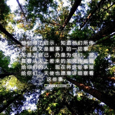 Picture 05 - 彼 得 前 书 1:12 CUVS - 他 们 得 了 启 示 ， 知 道 他 们 所 - Bible Verse Picture