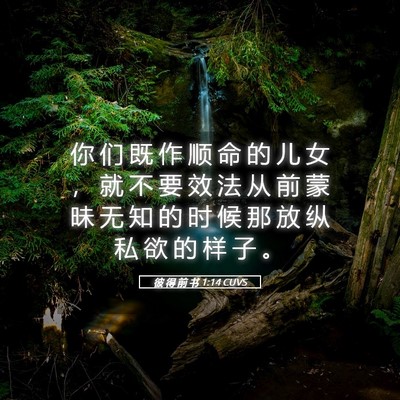 Picture 05 - 彼 得 前 书 1:14 CUVS - 你 们 既 作 顺 命 的 儿 女 ， 就 不 - Bible Verse Picture