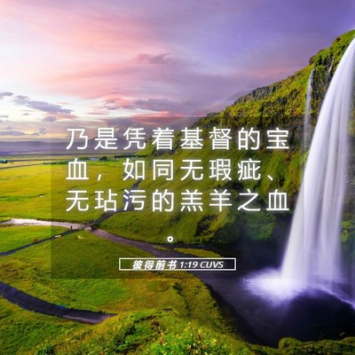 Picture 05 - 彼 得 前 书 1:19 CUVS - 乃 是 凭 着 基 督 的 宝 血 ， 如 同 - Bible Verse Picture