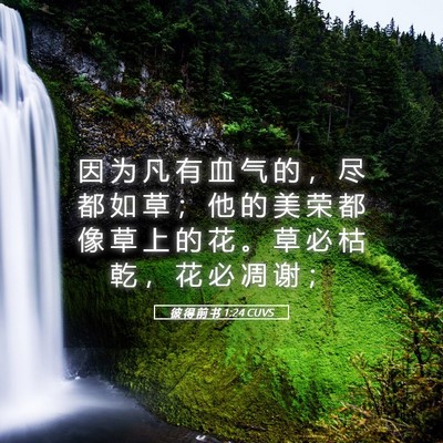 Picture 05 - 彼 得 前 书 1:24 CUVS - 因 为 凡 有 血 气 的 ， 尽 都 如 草 - Bible Verse Picture