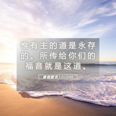 Picture 05 - 彼 得 前 书 1:25 CUVS - 惟 有 主 的 道 是 永 存 的 。 所 传 - Bible Verse Picture