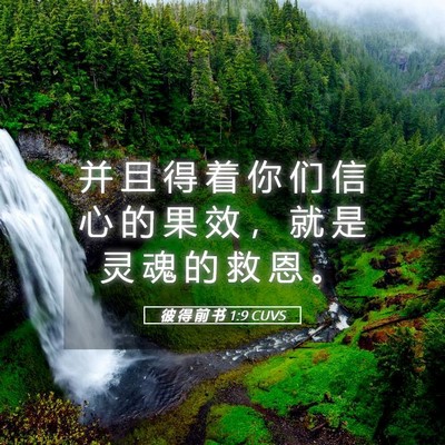 Picture 05 - 彼 得 前 书 1:9 CUVS - 并 且 得 着 你 们 信 心 的 果 效 ， - Bible Verse Picture