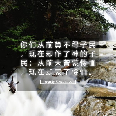 Picture 05 - 彼 得 前 书 2:10 CUVS - 你 们 从 前 算 不 得 子 民 ， 现 在 - Bible Verse Picture