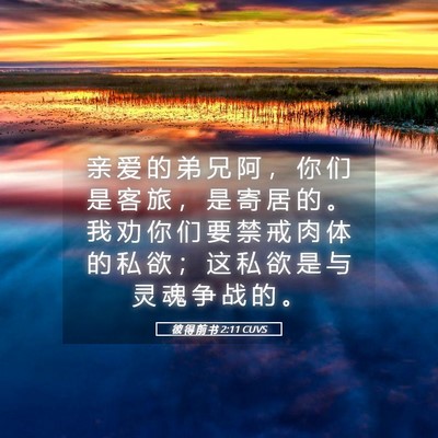 Picture 05 - 彼 得 前 书 2:11 CUVS - 亲 爱 的 弟 兄 阿 ， 你 们 是 客 旅 - Bible Verse Picture