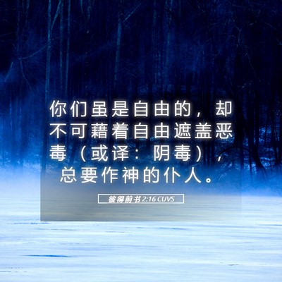 Picture 05 - 彼 得 前 书 2:16 CUVS - 你 们 虽 是 自 由 的 ， 却 不 可 藉 - Bible Verse Picture