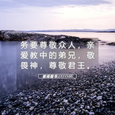 Picture 05 - 彼 得 前 书 2:17 CUVS - 务 要 尊 敬 众 人 ， 亲 爱 教 中 的 - Bible Verse Picture