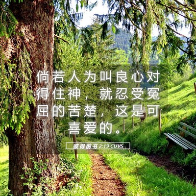 Picture 05 - 彼 得 前 书 2:19 CUVS - 倘 若 人 为 叫 良 心 对 得 住 神 ， - Bible Verse Picture