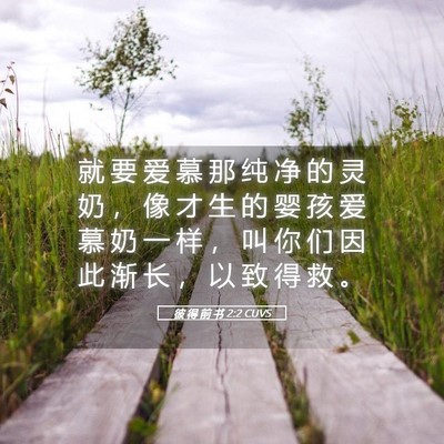 Picture 05 - 彼 得 前 书 2:2 CUVS - 就 要 爱 慕 那 纯 净 的 灵 奶 ， 像 - Bible Verse Picture