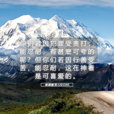 Picture 05 - 彼 得 前 书 2:20 CUVS - 你 们 若 因 犯 罪 受 责 打 ， 能 忍 - Bible Verse Picture