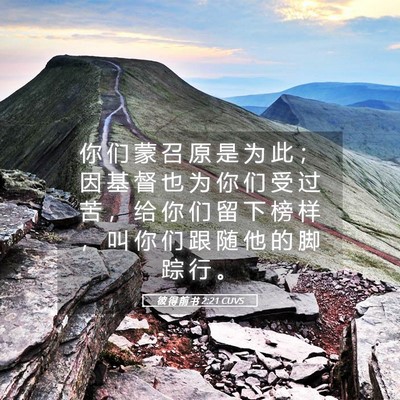 Picture 05 - 彼 得 前 书 2:21 CUVS - 你 们 蒙 召 原 是 为 此 ； 因 基 督 - Bible Verse Picture