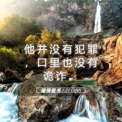 Picture 05 - 彼 得 前 书 2:22 CUVS - 他 并 没 有 犯 罪 ， 口 里 也 没 有 - Bible Verse Picture