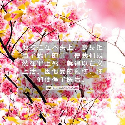 Picture 05 - 彼 得 前 书 2:24 CUVS - 他 被 挂 在 木 头 上 ， 亲 身 担 当 - Bible Verse Picture