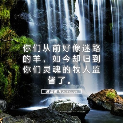 Picture 05 - 彼 得 前 书 2:25 CUVS - 你 们 从 前 好 像 迷 路 的 羊 ， 如 - Bible Verse Picture