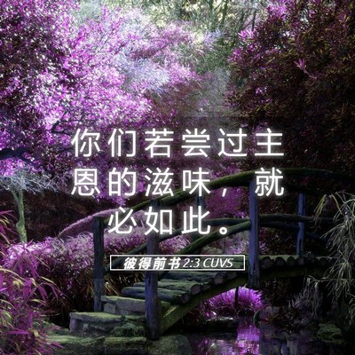 Picture 05 - 彼 得 前 书 2:3 CUVS - 你 们 若 尝 过 主 恩 的 滋 味 ， 就 - Bible Verse Picture