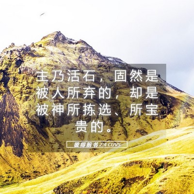 Picture 05 - 彼 得 前 书 2:4 CUVS - 主 乃 活 石 ， 固 然 是 被 人 所 弃 - Bible Verse Picture