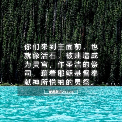 Picture 05 - 彼 得 前 书 2:5 CUVS - 你 们 来 到 主 面 前 ， 也 就 像 活 - Bible Verse Picture