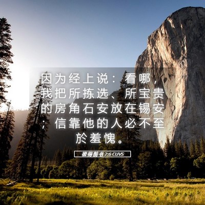 Picture 05 - 彼 得 前 书 2:6 CUVS - 因 为 经 上 说 ： 看 哪 ， 我 把 所 - Bible Verse Picture