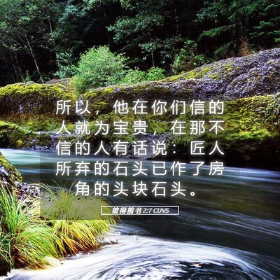 Picture 05 - 彼 得 前 书 2:7 CUVS - 所 以 ， 他 在 你 们 信 的 人 就 为 - Bible Verse Picture