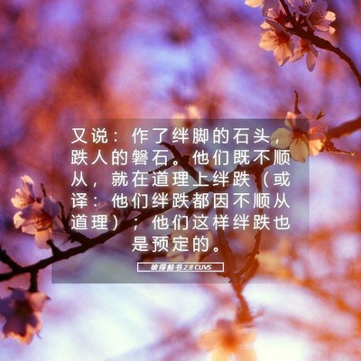 Picture 05 - 彼 得 前 书 2:8 CUVS - 又 说 ： 作 了 绊 脚 的 石 头 ， 跌 - Bible Verse Picture
