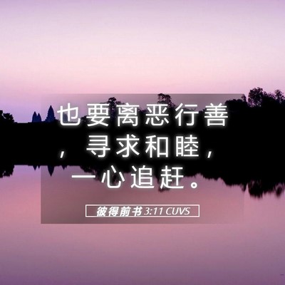 Picture 05 - 彼 得 前 书 3:11 CUVS - 也 要 离 恶 行 善 ， 寻 求 和 睦 ， - Bible Verse Picture